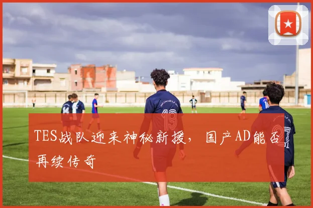 TES战队迎来神秘新援，国产AD能否再续传奇