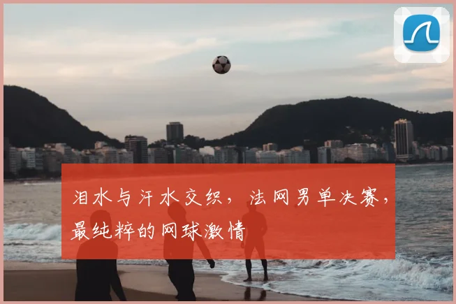 泪水与汗水交织,法网男单决赛,最纯粹的网球激情