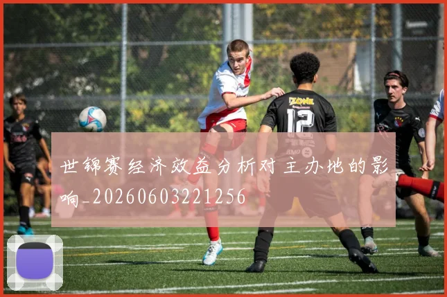 世锦赛经济效益分析对主办地的影响_20260603221256