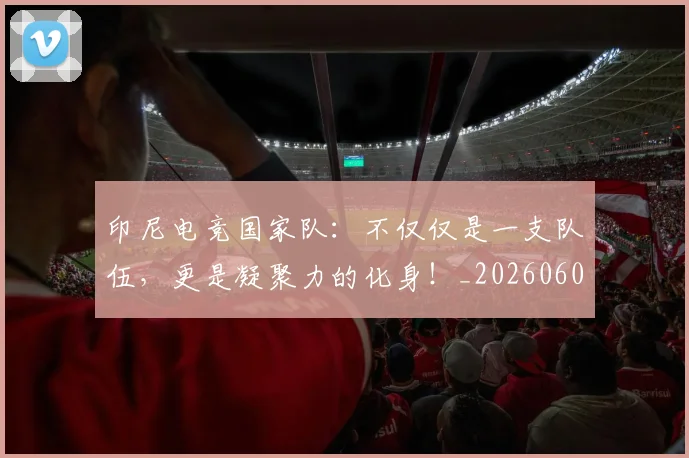 印尼电竞国家队：不仅仅是一支队伍，更是凝聚力的化身！_20260602212713