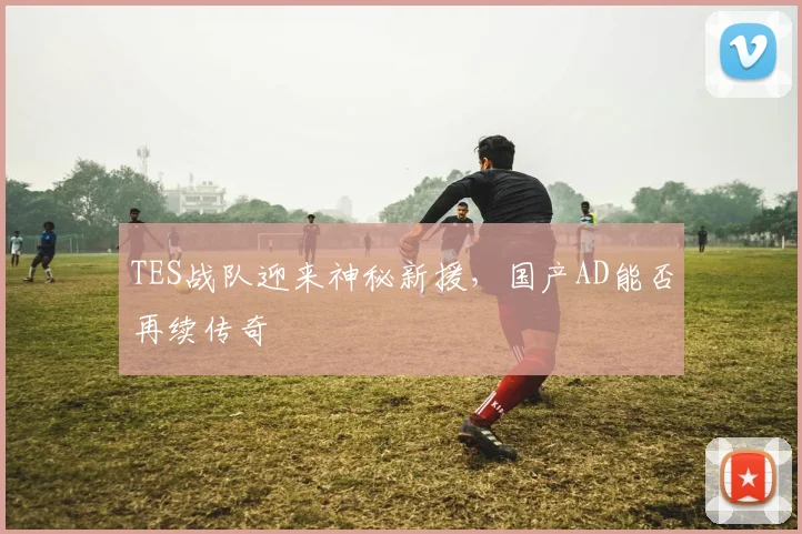 TES战队迎来神秘新援，国产AD能否再续传奇