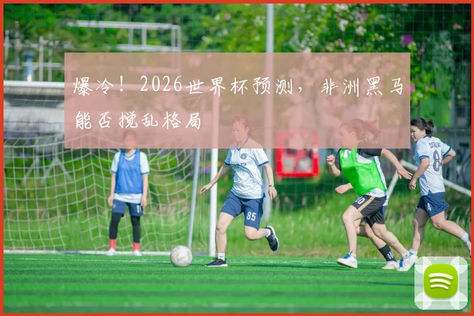 爆冷！2026世界杯预测，非洲黑马能否搅乱格局