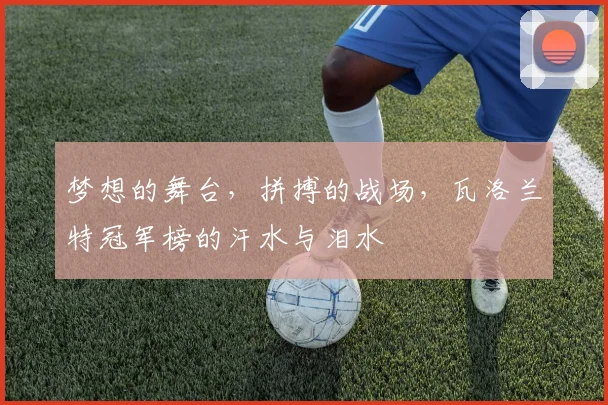 梦想的舞台，拼搏的战场，瓦洛兰特冠军榜的汗水与泪水